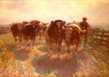 Cattle Drive on the Farm Road